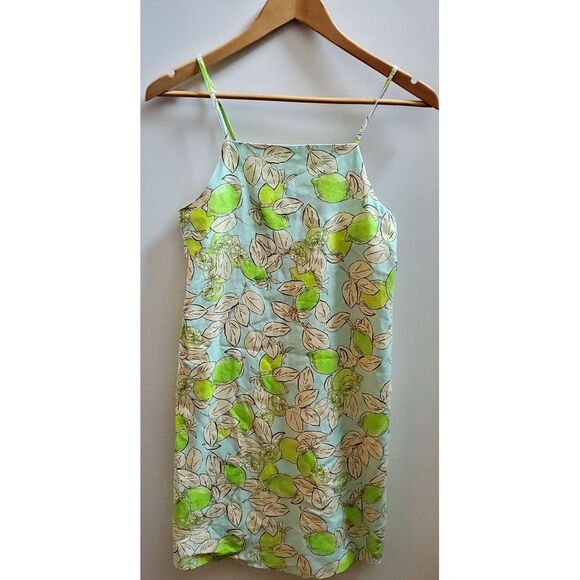 Zara Sundress Citrus Lemon/Limes Robin Egg Blue 13-14 Yrs Cotton/Lined Dress NWT - Picture 4 of 11